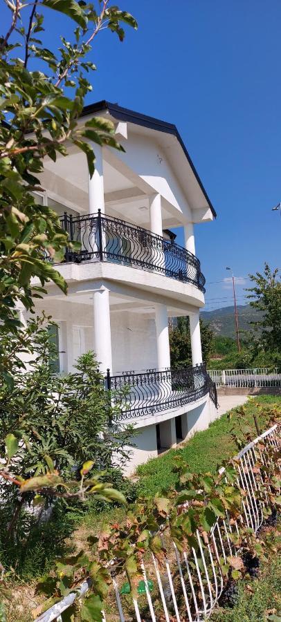 Villa Bratislava 데미르 카피자 외부 사진
