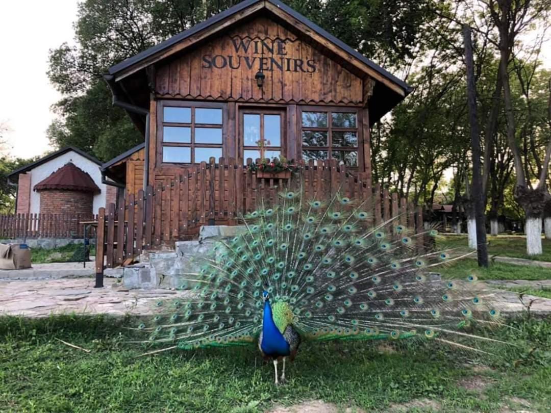 Villa Bratislava 데미르 카피자 외부 사진